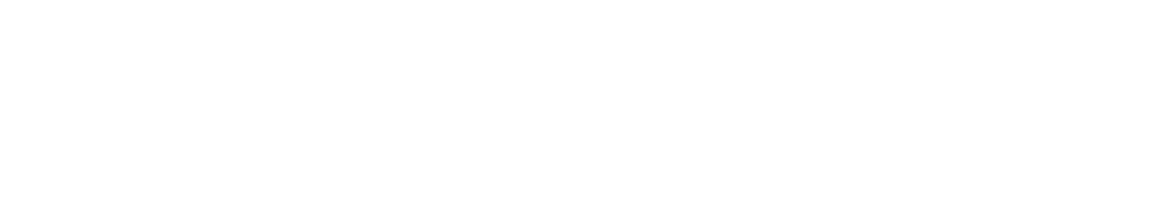 Cleanzone logo